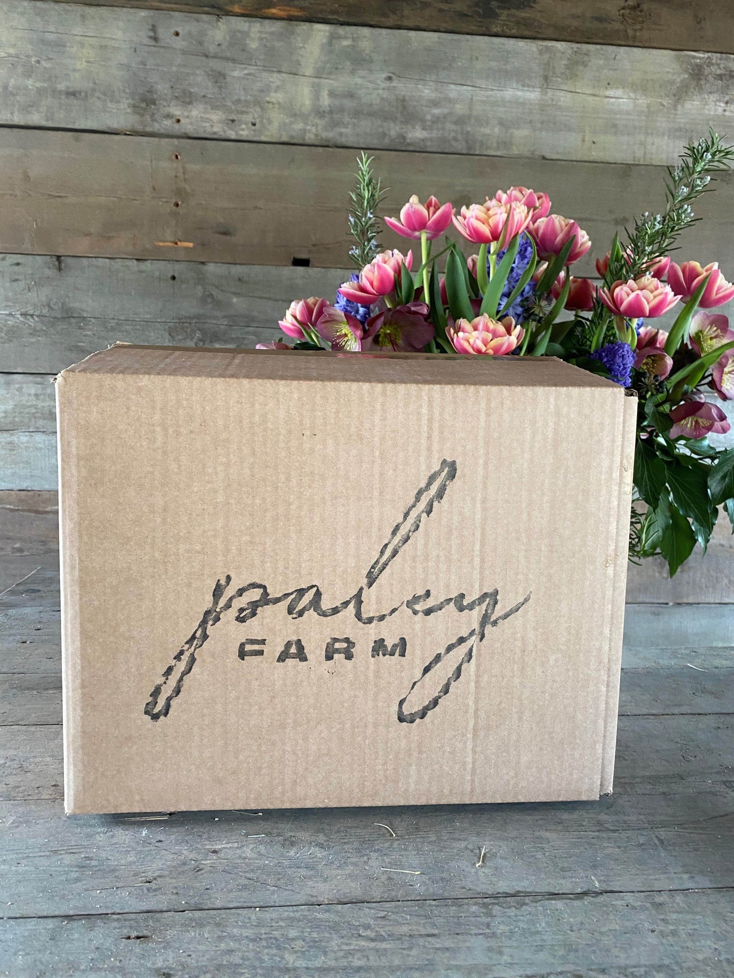 Paley Brunch Box - Paley Farm
